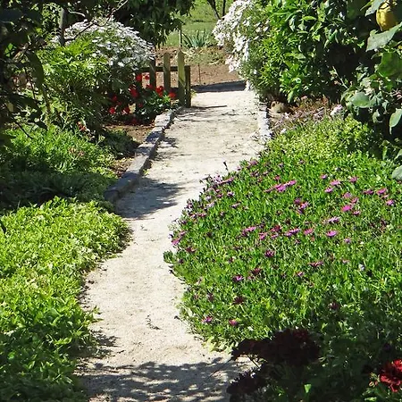 Casa Da Quinta Holiday home Porto